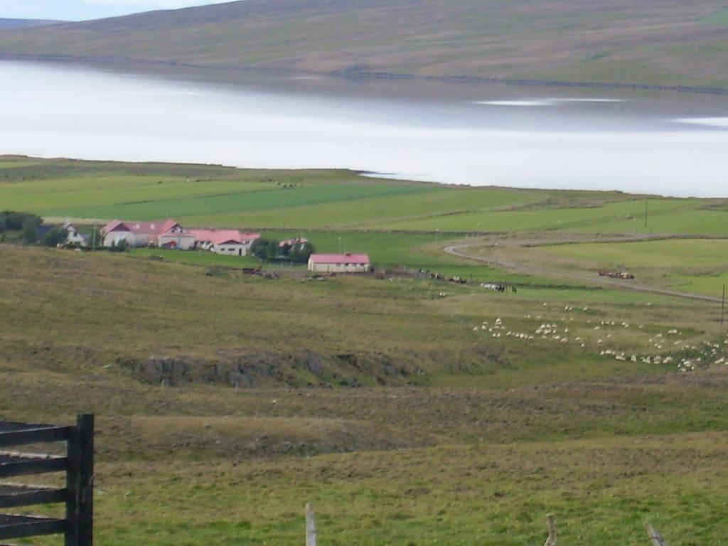 Stekkjardalur Holiday Home Svínavatn Exteriér fotografie